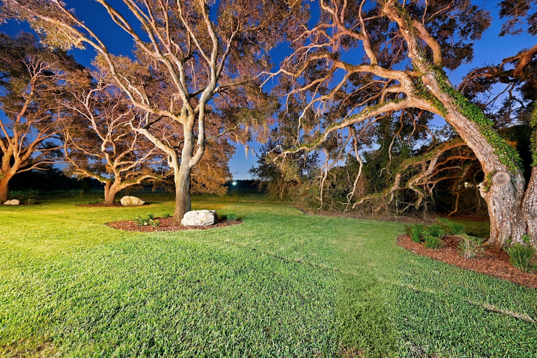 Backyard36