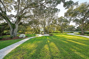Backyard15