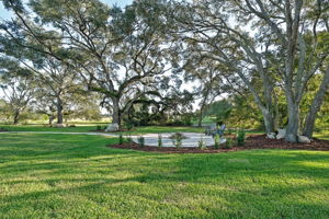 Firepit15