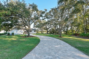 Rear Driveway2