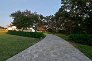 Backyard25