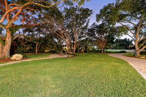 Backyard34
