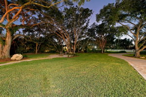 Backyard37