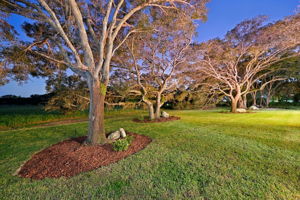 Backyard38