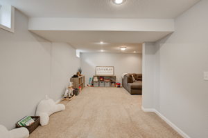Lower Level - Family Room