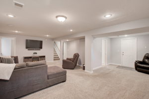 Lower Level - Family Room