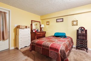  Photo 49