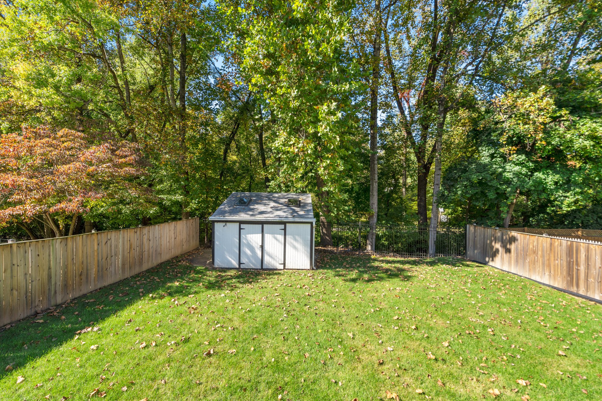 Rear Yard and Shed