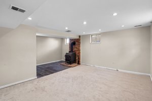 Lower Level Family Room
