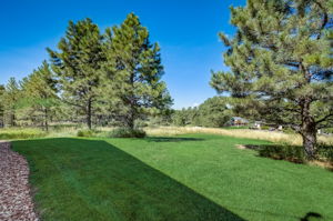 N Piney Lake Rd-054
