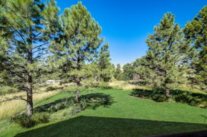 N Piney Lake Rd-045