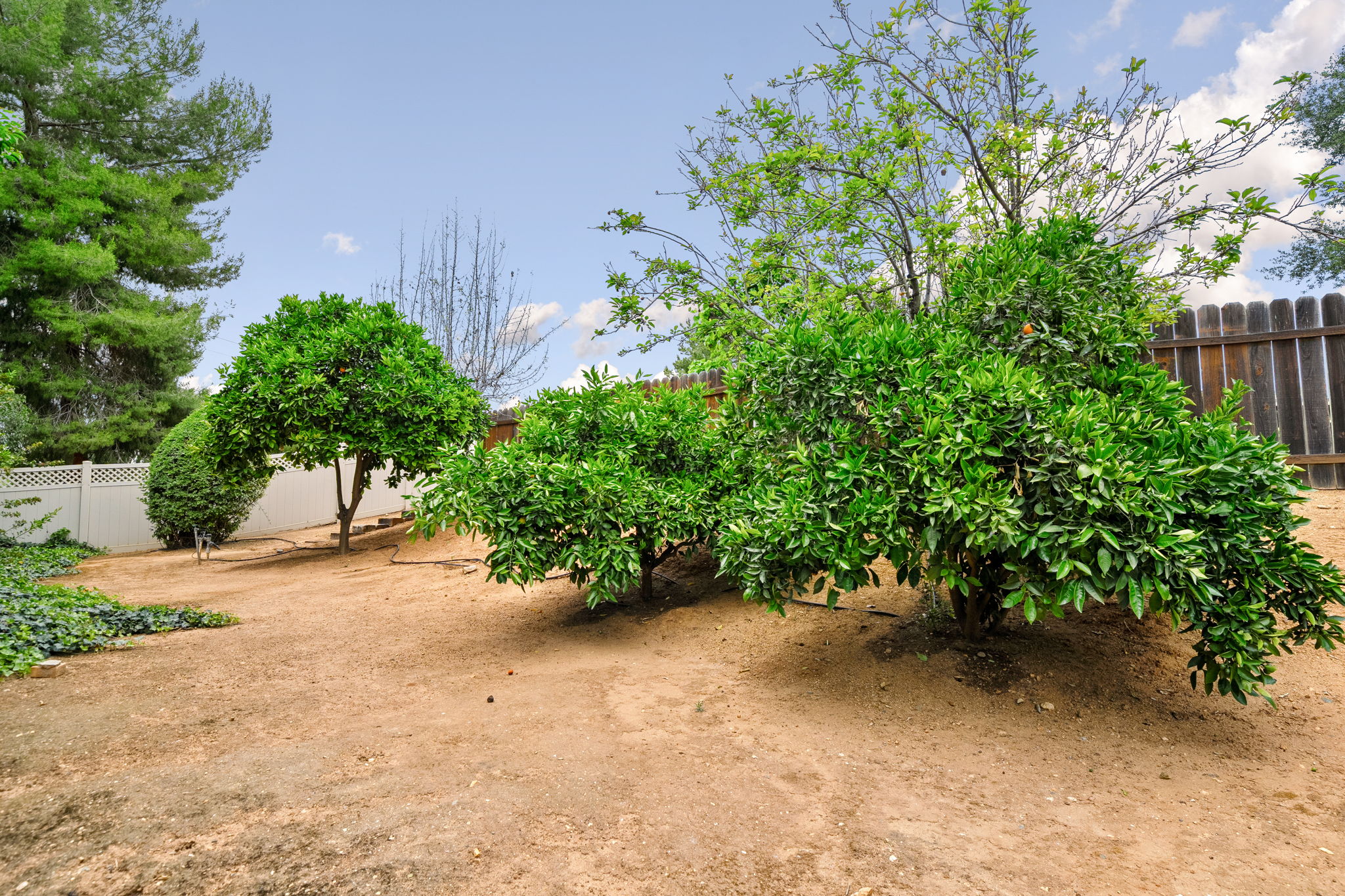  Photo 45