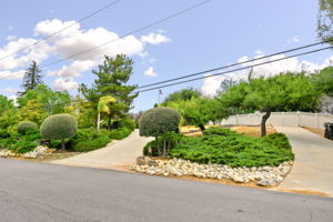  Photo 0