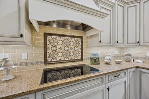 Decorative Backsplash & Hood