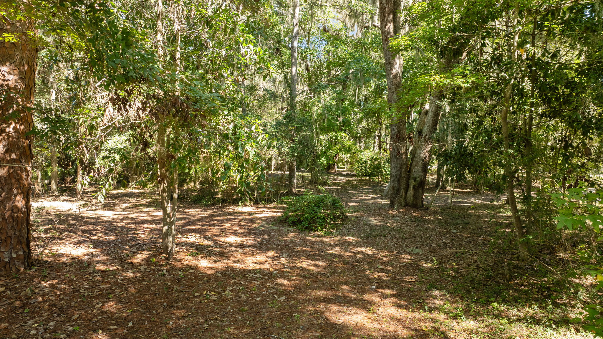 Additional Vacant Lot