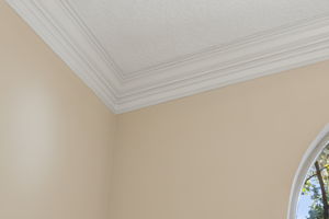 Triple Crown Molding Throughout