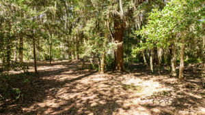 Additional Vacant Lot