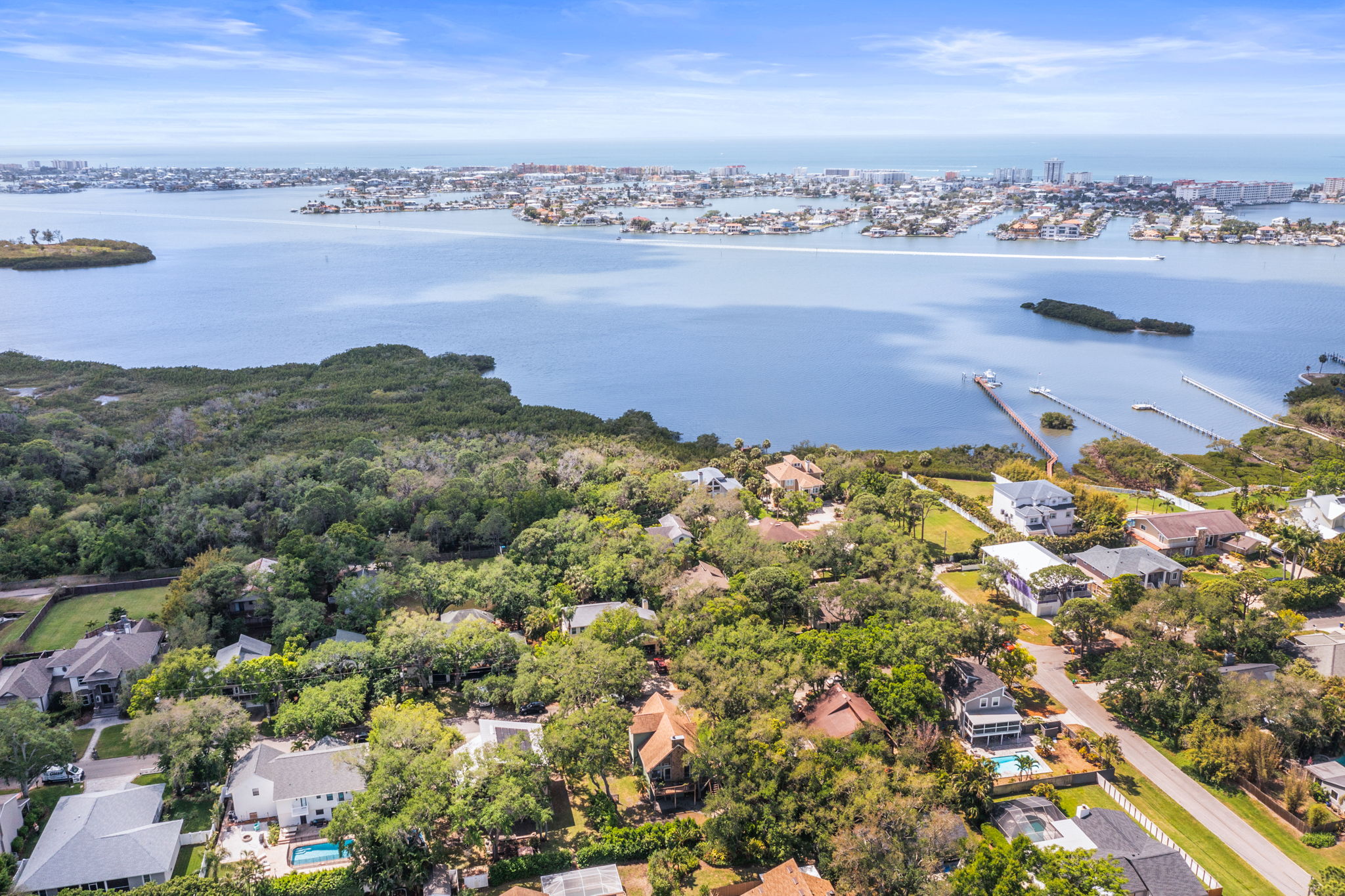 DRONE 12869 Poinsettia Ave 011