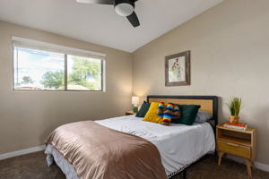 Second bedroom with ceiling fan, carpet and walk in closet.