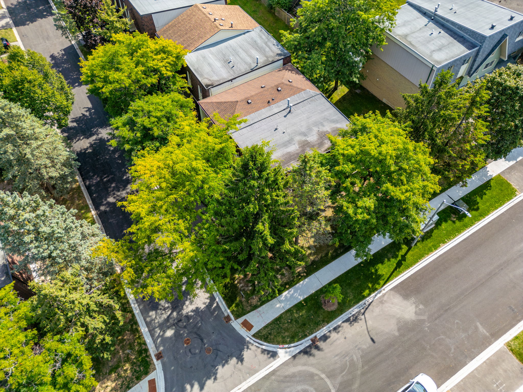 Aurora property showcase — delivered property photograph 36