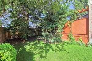  Photo 53