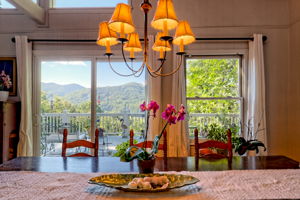 View from Kitchen