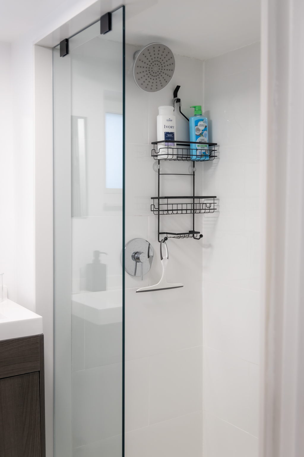 Toronto property showcase — delivered property photograph 81