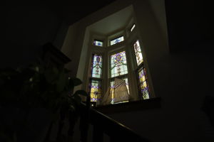  Photo 41