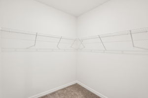 Tampa - Magnolia Bay - 129 Whiteland Bend - Lot 208 - 029