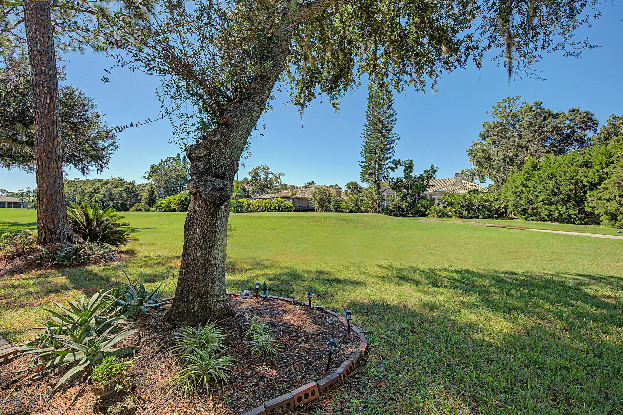 Backyard3-e