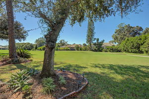 Backyard3-e