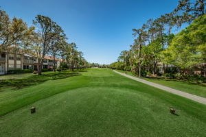 Golf Course1