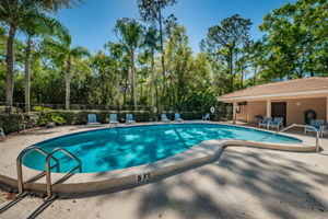 Laurel Oaks Pool2