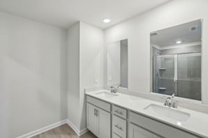  Atlanta- Martin Springs -1290 Firefly Field Trace Lawrenceville Georgia 30045-025