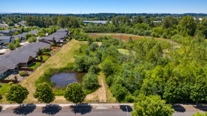 Neighborhood Wetlands