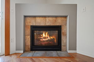 Fireplace Detail