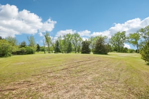 Freistadt Rd-2805-035.jpg