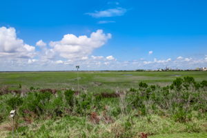 Marsh View