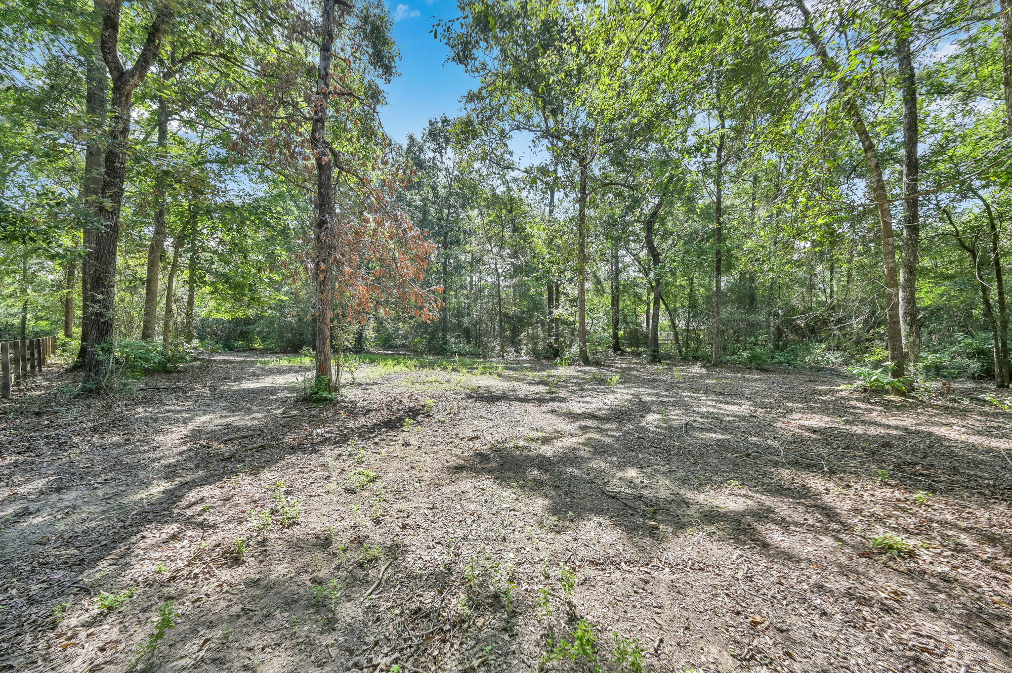 Expansive acreage with mature trees abounds!
