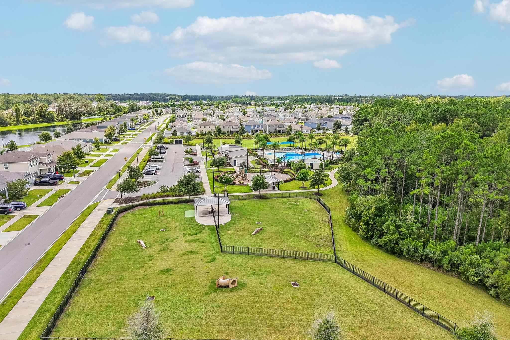 Holsinger Blvd-0808-923.jpg