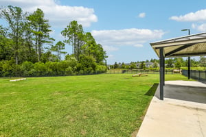 Holsinger Blvd-0808-915.jpg