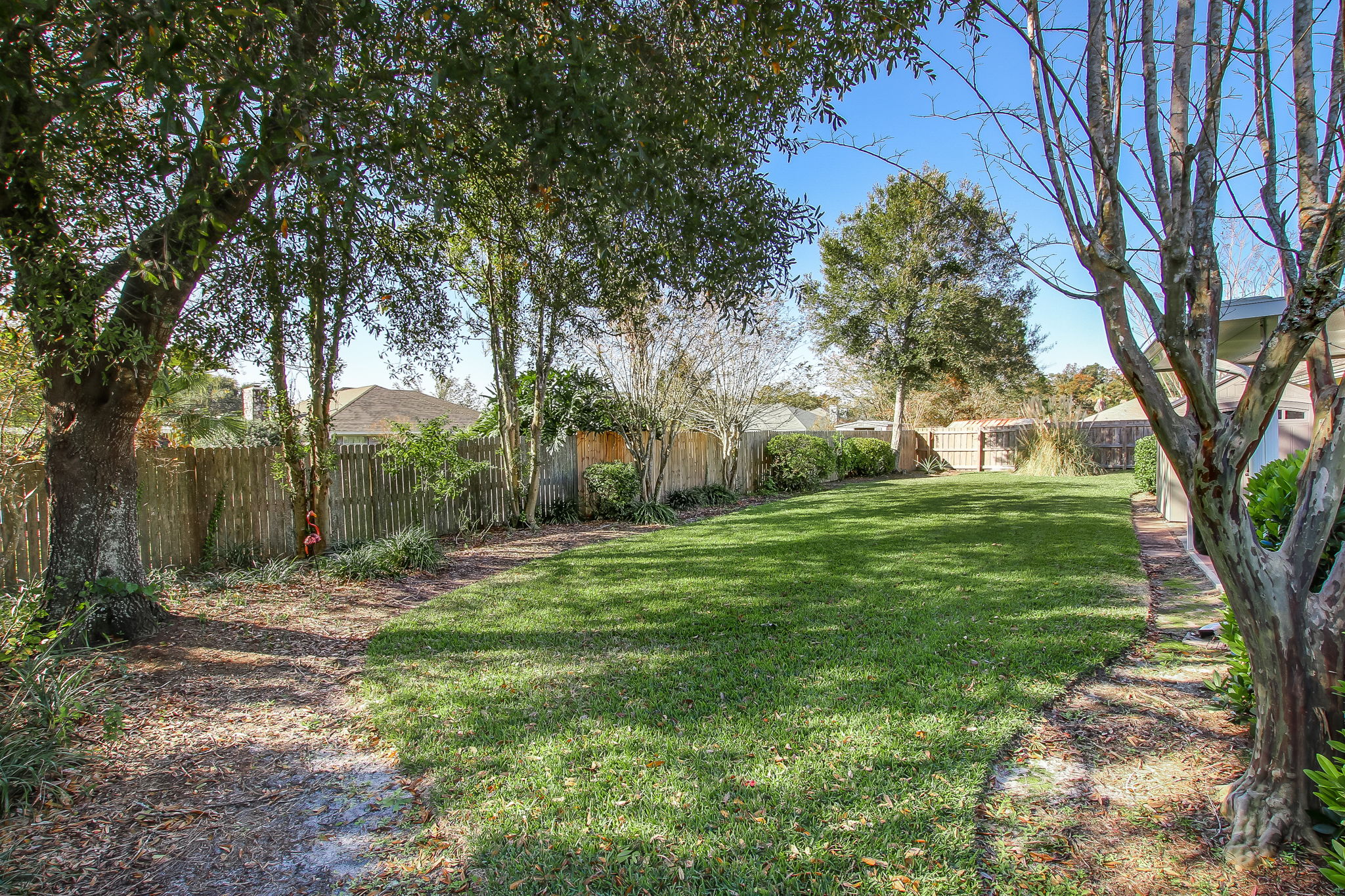 Backyard