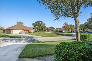 Front Yard