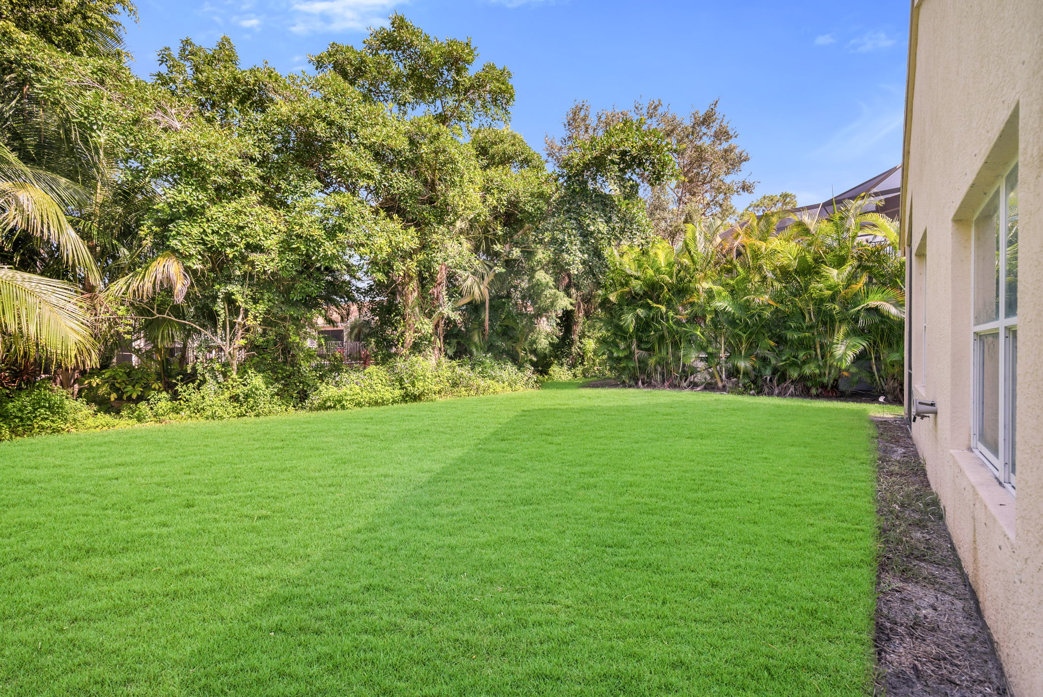 Yard View 2