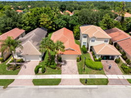 Aerial 1