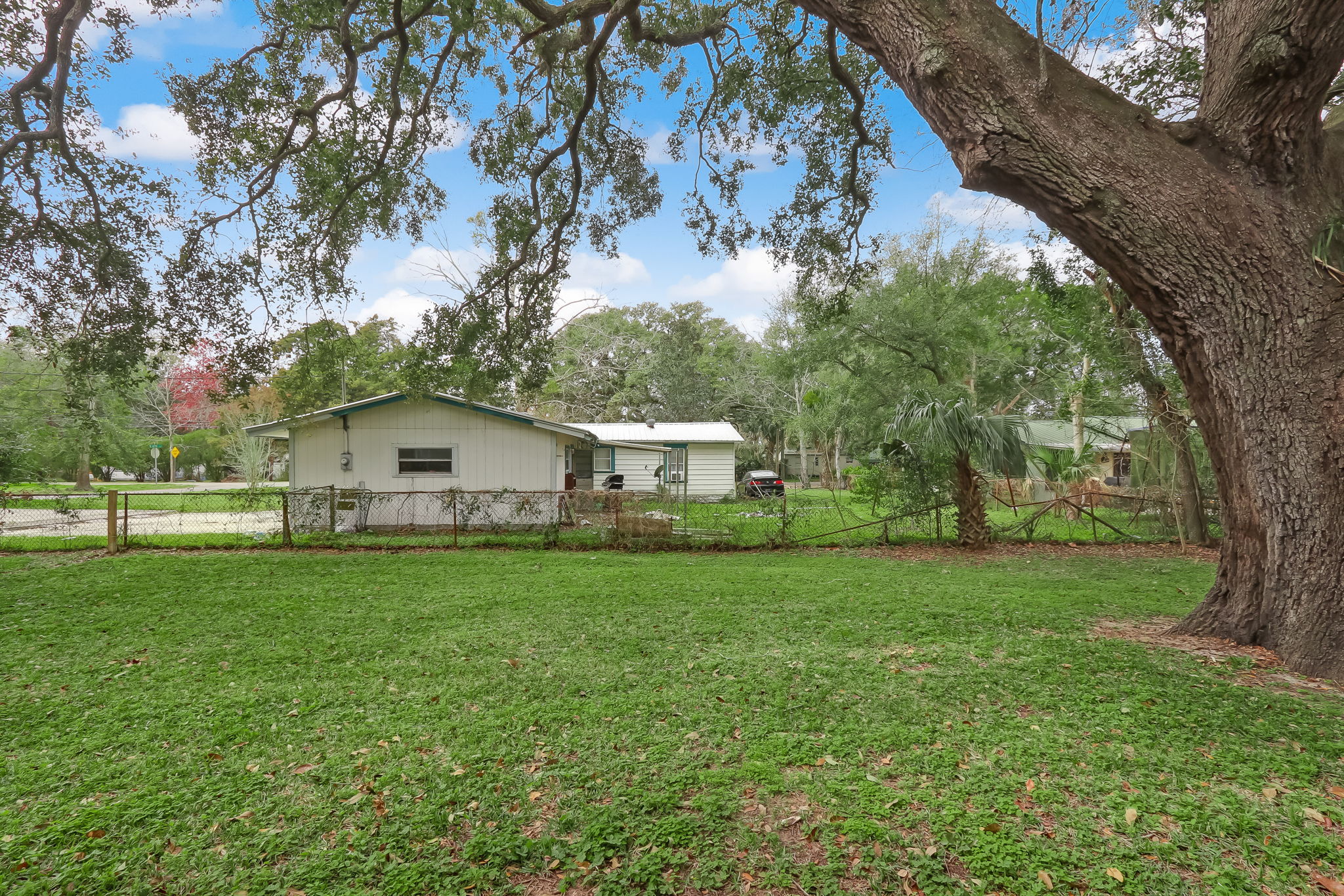 Backyard
