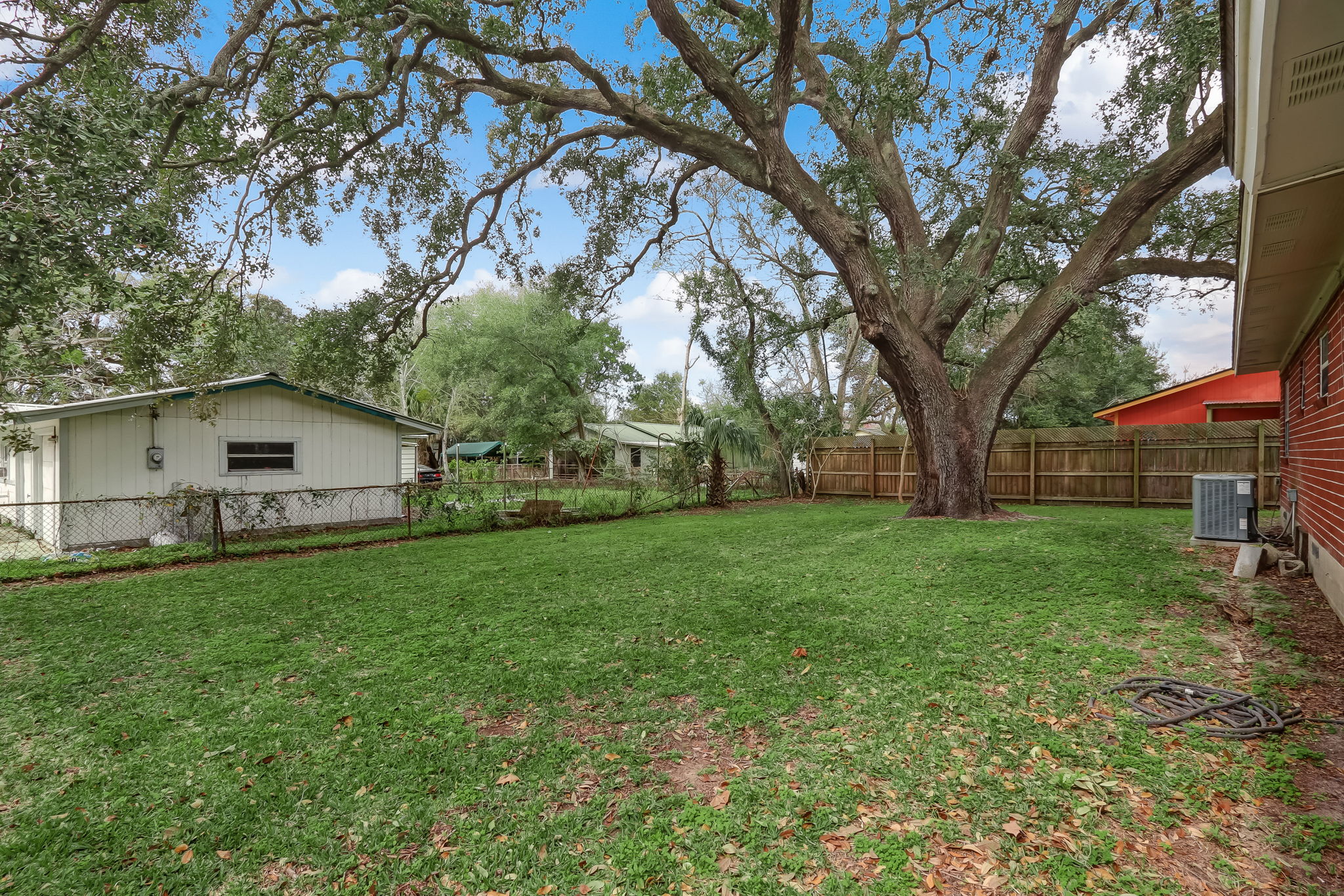 Backyard