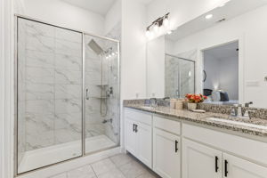 Ensuite Bathroom for Downstairs Bedroom