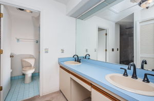 Master Bathroom 3