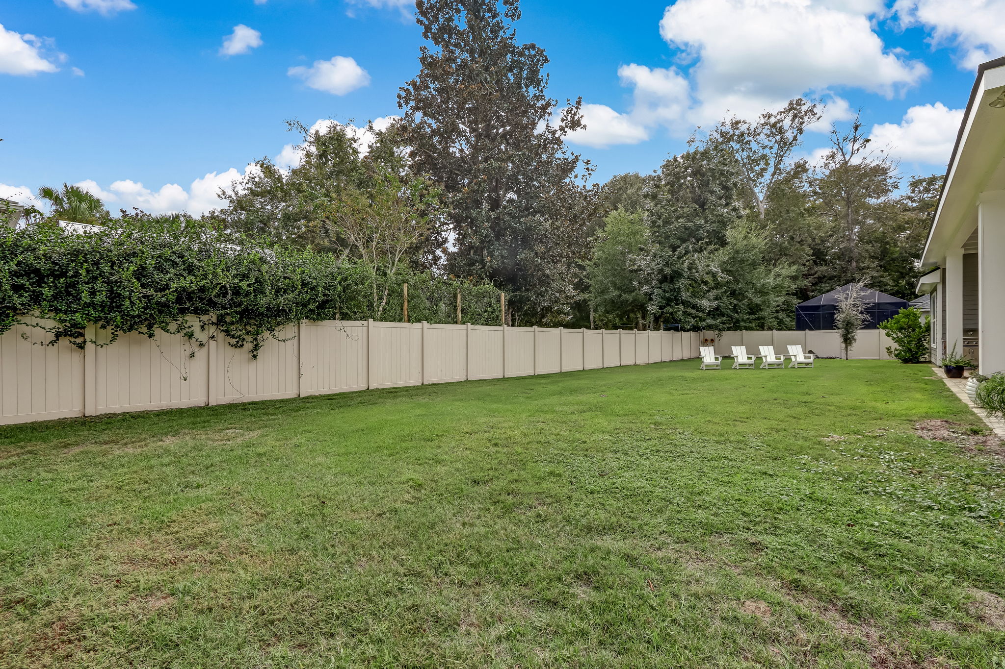 Backyard